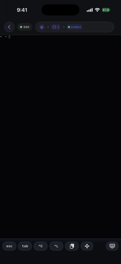 Terminal with the agent breadcrumb showing a working codex pane